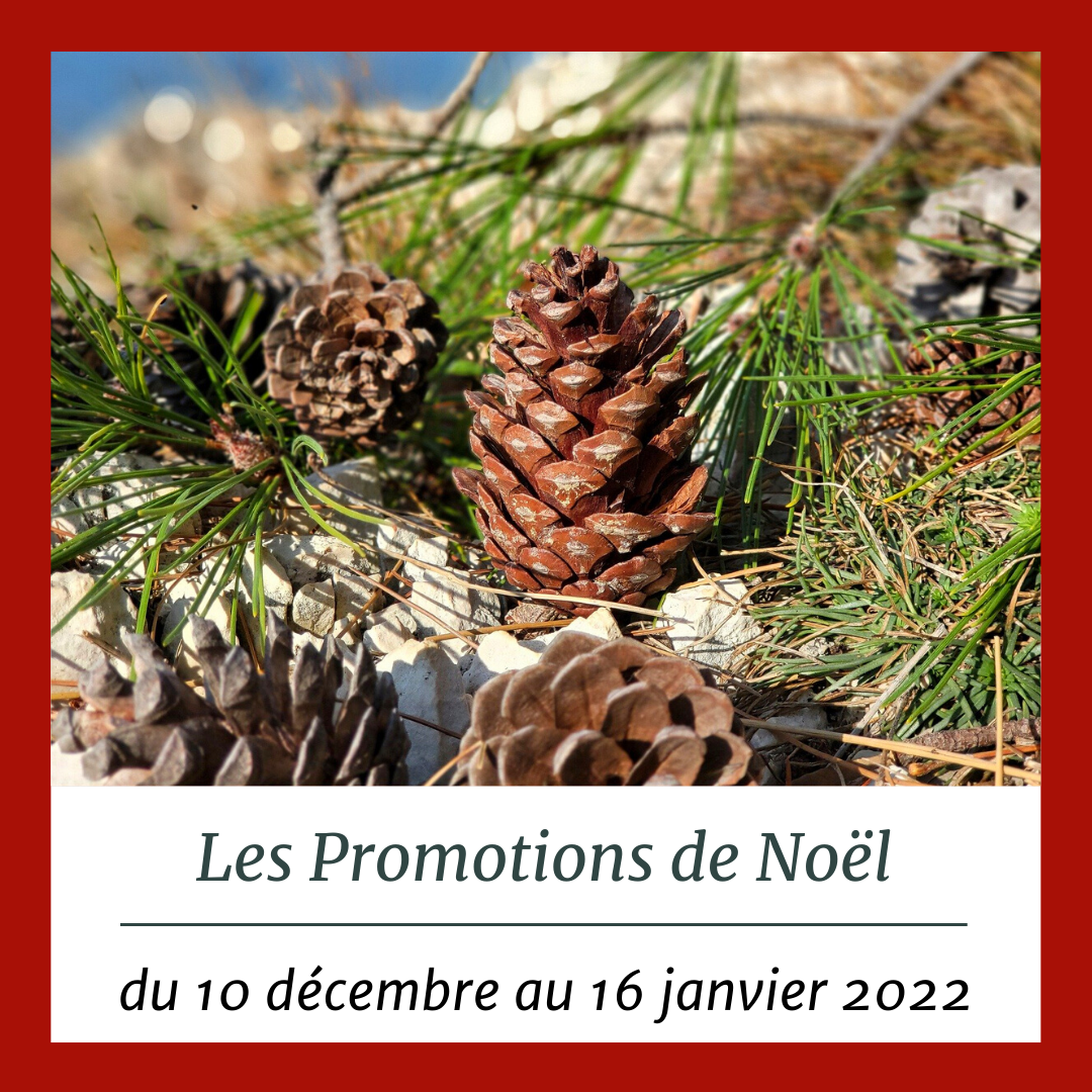 Du 10 décembre 2021 au 16 janvier 2022, il n'y a pas que les sapins qui sont à l'honneur en jardinerie !