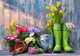 En plein coeur de l’été : profitez au mieux de votre jardin !