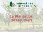 Guide de plantation des fruitiers