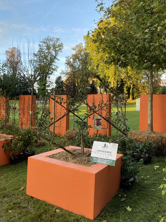 Les Pépinières Chatelain doublement primées aux Journées des plantes de Chantilly