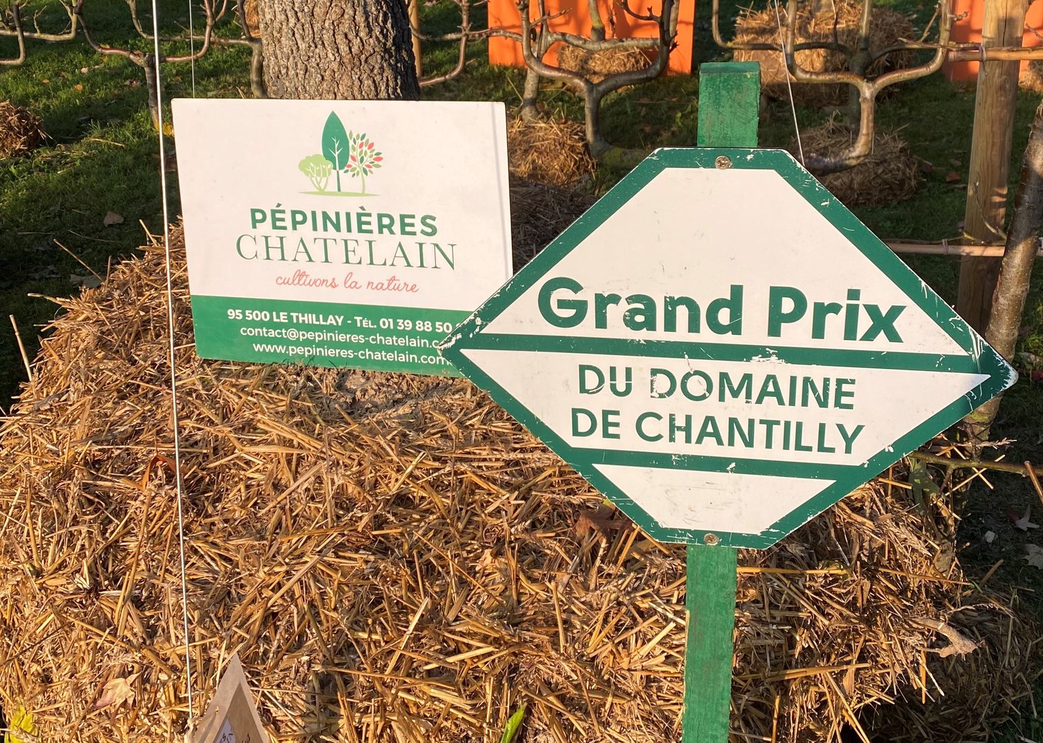 Les Pépinières Chatelain doublement primées aux Journées des plantes de Chantilly