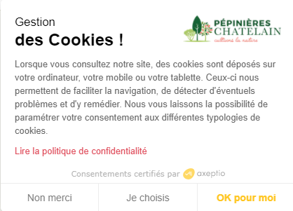 Cookies