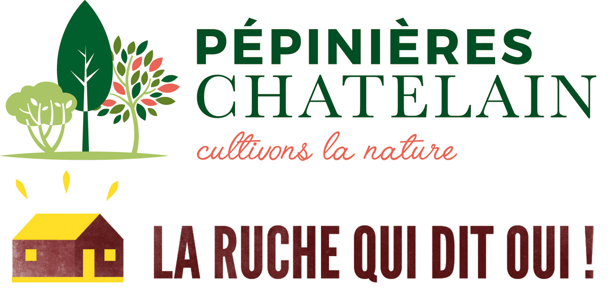 logo pépinières Chatelain - Laruchequiditoui