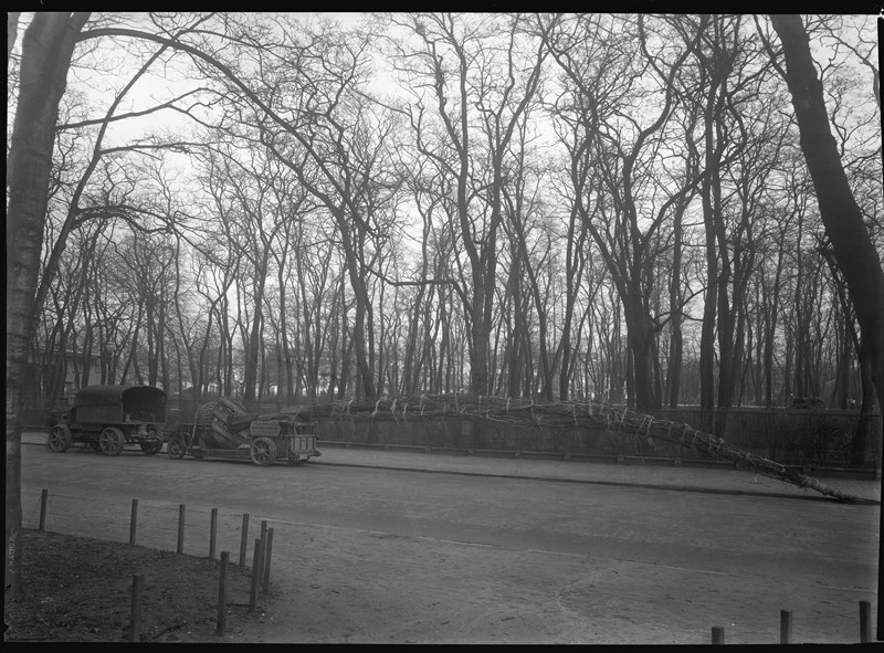 pepinieres defresne vitry Paris Porte dorée