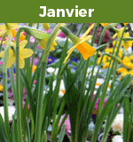 conseils janvier